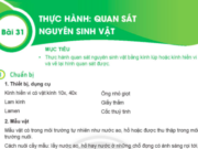 Khoa học lớp 6 Bài 31: Thực hành Quan sát nguyên sinh vật