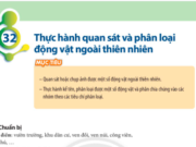 Bài 32: Thực hành quan sát và phân loại động vật ngoài thiên nhiên trang 148 Khoa học tự nhiên lớp 6 CTST