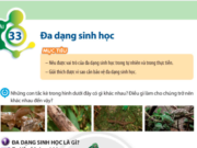 Bài 33: Đa dạng sinh học trang 149 SGK Khoa học tự nhiên lớp 6 CTST