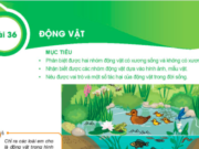 Bài 36: Động vật trang 125 SGK Khoa học tự nhiên lớp 6 KNTT