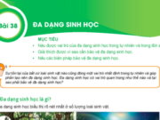 Bài 38: Đa dạng sinh học trang 135, 136, 137, 138 Khoa học tự nhiên lớp 6