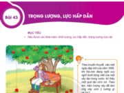 Bài 43: Trọng lượng. Lực hấp dẫn trang 154 Khoa học tự nhiên lớp 6 sách KNTT