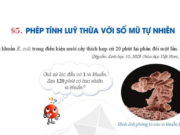 Giải Toán 6 Bài 5. Phép tính lũy thừa với số mũ tự nhiên trang 22, 23, 24, 25 SGK Cánh diều Toán 6 tập 1