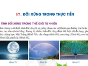 Giải toán 6 Bài 7: Đối xứng trong thực tiễn – trang 115, 166 SGK Cánh diều