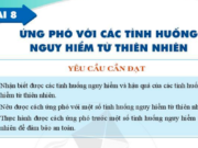 Bài 8: Ứng phó với các tình huống nguy hiểm từ thiên nhiên trang 38, 39, 40, 41 SGK GDCD 6