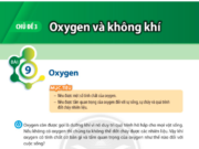 Giải bài tập Khoa học tự nhiên 6 Bài 9: Oxygen trang 44, 45, 46, 47 KHTN 6 Chân trời sáng tạo