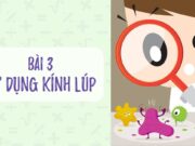 Bài 3: Sử dụng kính lúp – SBT Khoa học tự nhiên lớp 6 KNTT