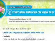 Bài 21: Thực hành phân chia các nhóm thực vật trang 118, 119 Khoa học tự nhiên 6 Cánh Diều