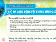 Giải Bài 22: Đa dạng động vật không xương sống trang 120, 121 Khoa học lớp 6 Cánh Diều