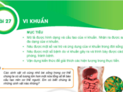 Giải bài tập Khoa học 6 Bài 27: Vi khuẩn – trang 92, 93, 94 SGK Kết nối tri thức