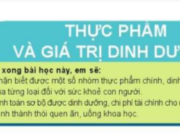 Bài 5: Thực phẩm và giá trị dinh dưỡng Công nghệ lớp 6 Cánh Diều