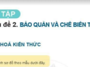 Ôn tập chủ đề 2: Bảo quản và chế biến thực phẩm – Công nghệ 6 Cánh Diều