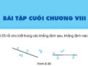 Bài tập cuối chương VIII (8) Những hình học cơ bản trang 67 Toán 6 tập 2