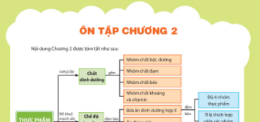 Ôn tập Chương 2 trang 43 Công nghệ lớp 6 Chân trời sáng tạo