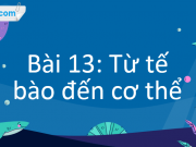 Bài 13: Từ tế bào đến cơ thể trang 76, 77, 78, 79, 80, 81, 82 Khoa học tự nhiên lớp 6 Cánh Diều