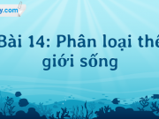 Giải bài tập trang 84, 85, 86, 87 SGK Khoa học tự nhiên 6 cánh diều Bài 14: Phân loại thế giới sống