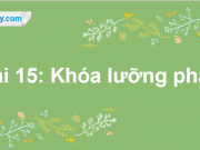 Bài 15: Khóa lưỡng phân trang 89, 90, 91 Khoa học tự nhiên Cánh Diều lớp 6