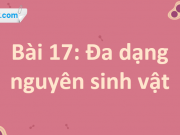 Bài 17: trang 99, 100, 101, 102 Khoa học tự nhiên 6 cánh diều: Đa dạng nguyên sinh vật