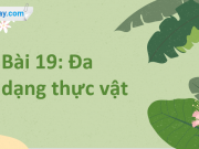 Giải Bài 19: Đa dạng thực vật Khoa học tự nhiên lớp 6 Cánh Diều trang 106, 107, 108, 109, 110