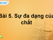 Bài 5: Sự đa dạng của chất trang 30, 31, 32 Khoa học lớp 6 sách Cánh Diều