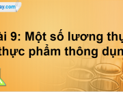 Bài 9: Một số lương thực – thực phẩm thông dụng trang 52, 53, 54 SGK Khoa học tự nhiên Cánh Diều lớp 6