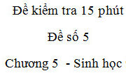 Kiểm tra 15 phút môn Sinh lớp 9 Chương 5: Thế nào là ưu thế lai?