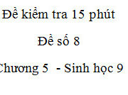 Kiểm tra 15 phút môn Sinh lớp 9 Chương 5: Phương pháp nào không hay ít dùng trong chọn giống cây trồng?