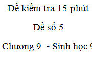 Kiểm tra môn Sinh học lớp 9 15 phút Chương 9: Nguyên tắc giáo dục bảo vệ môi trường là gì?