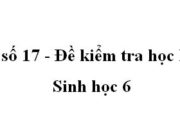 Đề kiểm tra học kì 2 Sinh học 6 Đề 17: Cấu trúc không phải là bộ phận của phôi hạt là