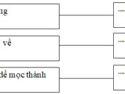 Chính tả – Tuần 22 trang 12 Vở bài tập Tiếng Việt 2 tập 2: Ghi vào chữ in đậm dấu hỏi hoặc dấu ngã 