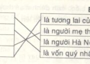 Luyện từ và câu : Chủ ngữ trong câu kể Ai là gì trang 41 VBT Tiếng Việt lớp 4 tập 2: Chủ ngữ trong các câu trên do những từ ngữ như thế nào tạo thành ? Chủ ngữ trong các câu trên do những danh từ tạo thành