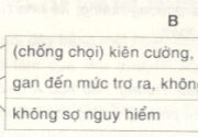 Luyện từ và câu – Mở rộng vốn từ Dũng cảm trang 44 Vở bài tập Tiếng Việt lớp 4 tập 2: Điền từ ngữ trong ngoặc đơn thích hợp với mỗi chỗ trống ở đoạn văn sau