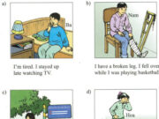 Language Focus – Unit 6 trang 55 SGK Tiếng Anh lớp 9: Join the pairs of sentences together. Use because, as or since. 