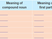 Unit 5. Inventions: Giải bài Languagage trang 49 SGK Tiếng Anh 10 Thí điểm