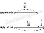 Bài 1, 2, 3, 4 trang 39 VBT Toán 4 tập 2: Hưởng ứng đợt tiêm chủng cho trẻ em, xã Hòa Bình ngày thứ nhất có 8/23 số trẻ em trong xã đã đi tiêm chủng, ngày thứ hai có 11/23 số trẻ em trong xã đi tiêm chủng. Hỏi ngày thứ hai số trẻ em đã đi tiêm chủng nhiều hơn ngày thứ nhất bao nhiêu phần của số trẻ em trong xã