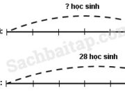 Bài 1, 2, 3 trang 46 VBT Toán 4 tập 2: Sân trường hình chữ nhật có chiều rộng 80m. Tính chiều dài của sân trường biết rằng chiều dài bằng 3/2 chiều rộng