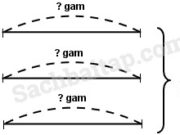 Bài 1, 2, 3, 4 trang 50, 51 Vở BT Toán 4 tập 2: Một người bán hàng chia đều 3/10 kg kẹo vào 3 túi. Hỏi mỗi túi có bao nhiêu gam kẹo?