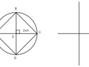 Bài 1, 2, 3 trang 54 Vở bài tập Toán lớp 4 tập 1: Vẽ hình vuông ABCD có cạnh 5cm. Nối đỉnh A với đỉnh C, đỉnh B với đỉnh D