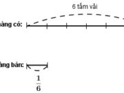 Bài 1, 2, 3 trang 81 Vở bài tập Toán lớp 4 tập 1: Một cửa hàng có 6 tấm vải, mỗi tấm dài 30m. Cửa hàng đã bán được 1/6 số vải. Hỏi cửa hàng đã bán được bao nhiêu mét vải