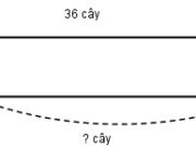 Bài 1, 2, 3, 4, 5 trang 41 Vở bài tậpToán học 2 tập 1: Trong hình bên có 3 hình tam giác và 3 hình tứ giác