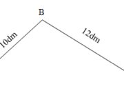 Bài 1, 2, 3 trang 14 VBT Toán 2 tập 2: Một con ốc sên bò từ A đến D (như hình vẽ). Hỏi con ốc sên phải bò đoạn đường dài bao nhiêu xăng-ti-mét ?