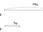 Bài 1, 2, 3, 4, 5 trang 27 VBT Toán 2 tập 2: Có 30kg kẹo chia đều vào 3 thùng. Hỏi mỗi thùng có bao nhiêu Ki-lô-gam kẹo ?