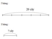 Bài 1, 2, 3, 4, 5 trang 36 VBT Toán 2 tập 2: Trồng 20 cây chuối thành 5 hàng đều nhau. Hỏi mỗi hàng có mấy cây chuối ?