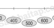 Bài 1, 2, 3, 4 trang 13 Vở bài tập Toán 3 tập 2: Trong các độ dài 200m, 200cm, 2000cm, 2km, độ dài lớn nhất là 2km