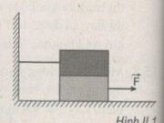 Bài II.1, II.2, III.3, III.4 trang 37, 38 SBT Lý 10: Lực F phải lớn hơn giá trị nào dưới đây thì vật dưới bắt đầu trượt ?