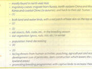 Writing – trang 11 Unit 6 SBT Tiếng anh 12 Thí điểm:   Write a report of 150-200 words to describe the red-crowned crane, using the facts in.