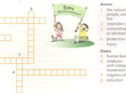 Vocabulary & Grammar – trang 28 Unit 9 SBT Tiếng Anh 10 Thí điểm: Use the words from the crossword puzzle to complete the sentences ?