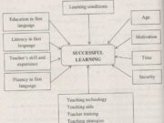 Writing – Unit 15 trang 114 Sách BT Anh 12: Describe the main factors affecting success in learning English as a second language.