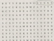 Câu 4 Unit 9 Trang 88 SBT Anh lớp 9: Find the words which describe natural disasters and weather conditions in the puzzle