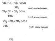 Bài 1, 2, 3, 4, 5, 6, 7, 8 trang 66, 67 SGK Hóa học lớp 12 Nâng cao: Viết phương trình hóa học biểu diễn phản ứng